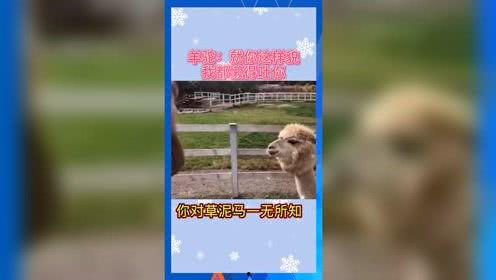 娱乐吃瓜Jerry,Jerry带你揭秘娱乐圈那些事儿