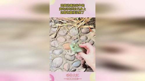 娱乐吃瓜蛙,揭秘娱乐圈那些不为人知的幕后故事