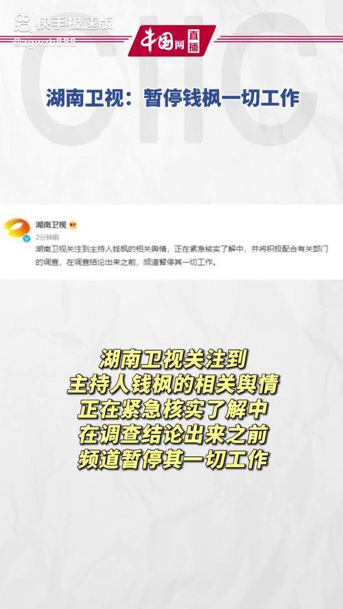 娱乐吃瓜模板,明星恋情曝光，幕后真相竟如此惊人！