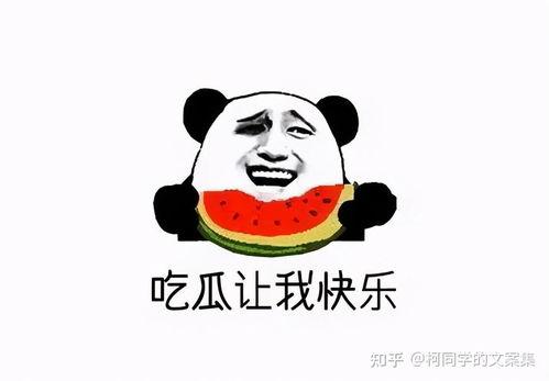 吃瓜娱乐图片文案可爱,可爱吃瓜图，带你领略欢乐瞬间