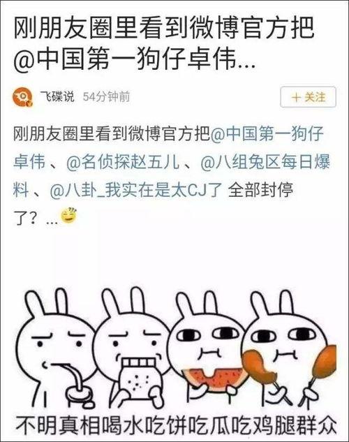 小宝带你吃瓜娱乐,小宝带你畅游吃瓜娱乐世界